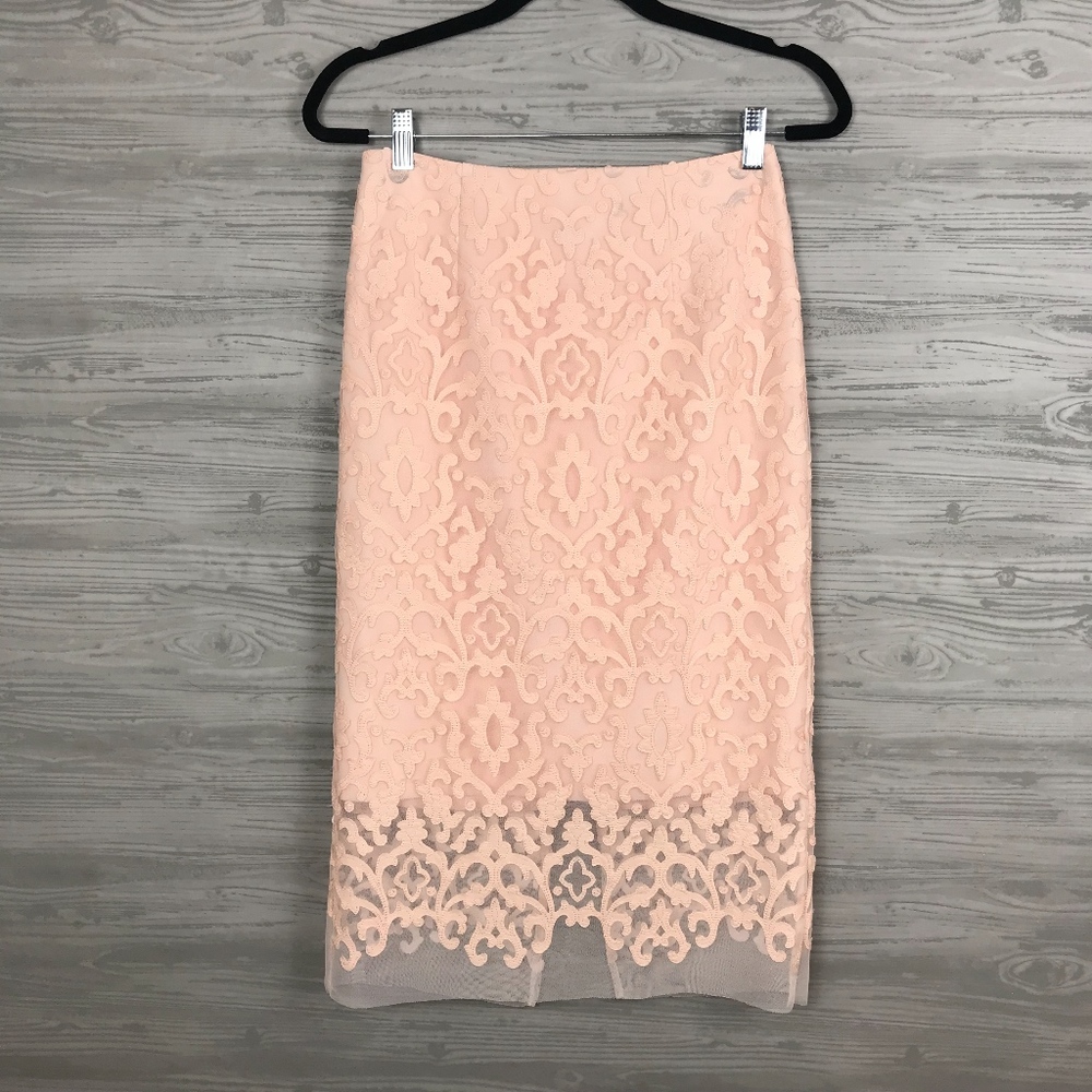 LAST CHANCE!! KATHRINE KELLY | Blush Pencil Skirt Sheer Overlay